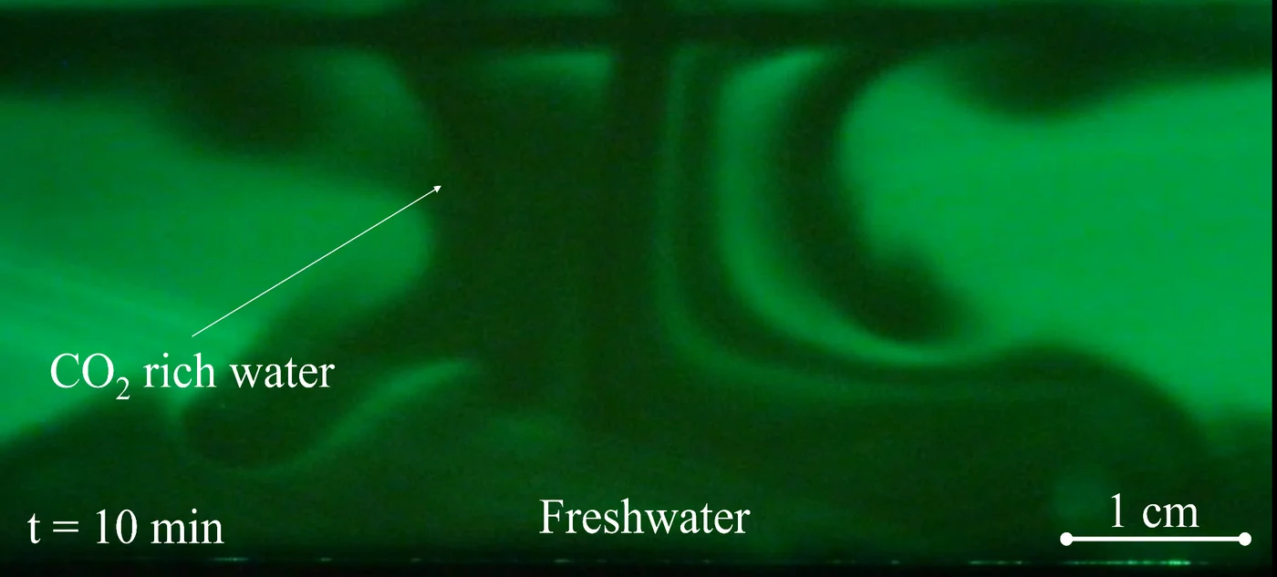 Ten minutes in, the CO₂-rich water has sunk in plumes toward the bottom of the tank.