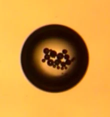 Round drop with a cluster of dark particles in its middle.