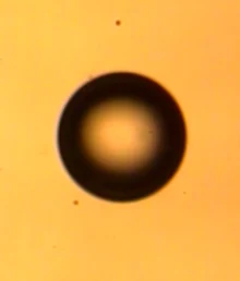 Round drop with no particles, ejected particles scattered below it.