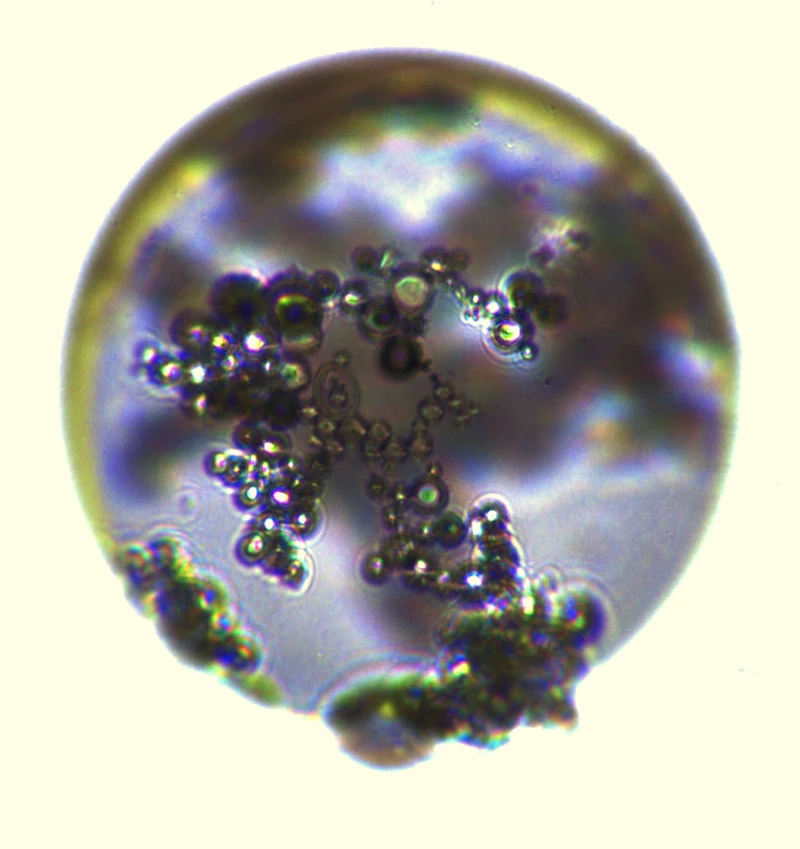Bottom of the drop before the field: glass particles scattered across the surface.