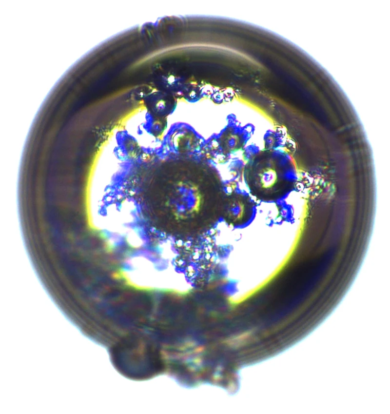 A 180 µm water drop in corn oil with hollow glass particles, before the field is applied.