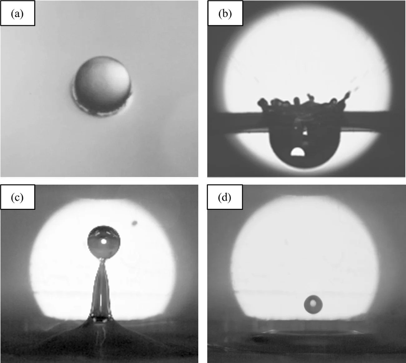 A drop released from 20 cm: impact, the crater at 0.02 s, the water column at 0.15 s, and a droplet falling back at 0.19 s. From Verma et al. (2023).