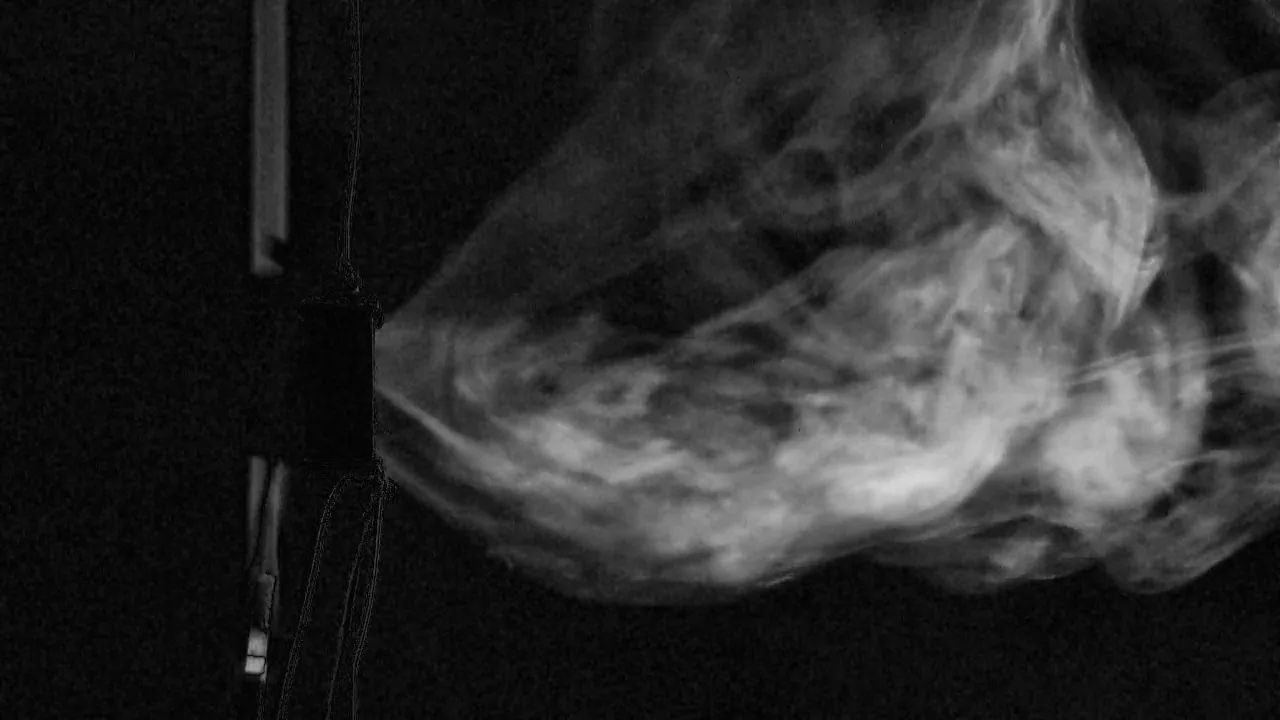 The same frame after preprocessing: grey, with the smoke's wisps and edges strongly enhanced and the background flattened.